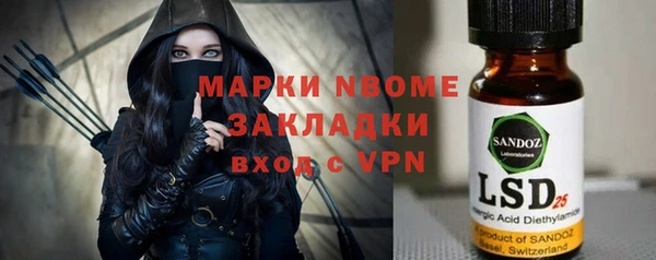 шишки Белоозёрский