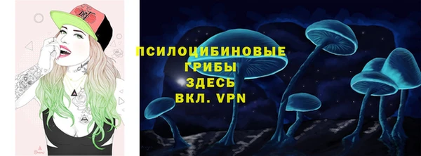 ECSTASY Богородск
