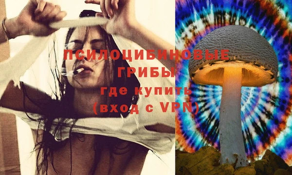 ECSTASY Богородск