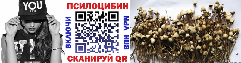 Галлюциногенные грибы мухоморы Малоярославец