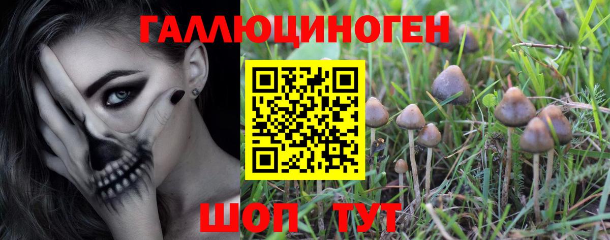 Малоярославец  Псилоцибиновые грибы Psilocybe  Галлюциногенные грибы мухоморы  Вход с VPN 